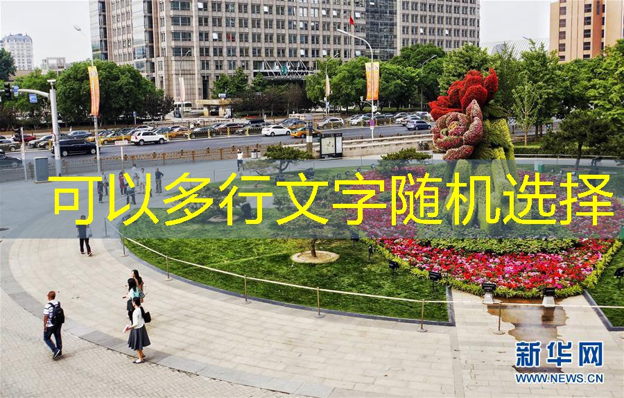 （社会）（2）北京：花坛迎盛会